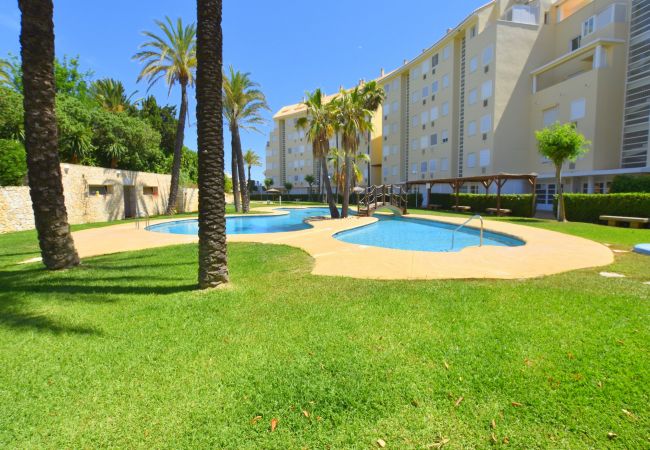 Ferienwohnung in Javea - Apartamento Golden Gate Javea - 5005