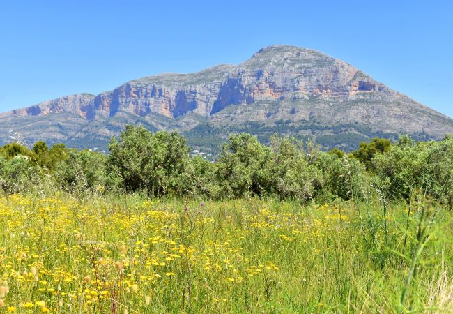 Chalet in Javea - Casa Altamar I Javea - 5009